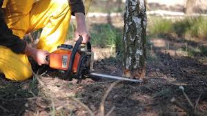 Soil Testing and Treatment in Paonia, CO